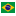 Brazilian Brasiliense